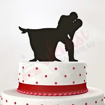 Toper Za Vjenčanje Dance Kiss